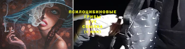 амф Лысково