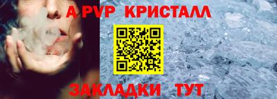 СК Кингисепп