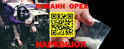 СК Кингисепп