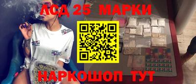 шишки Аргун