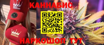 СК Кингисепп
