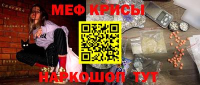 СК Кингисепп
