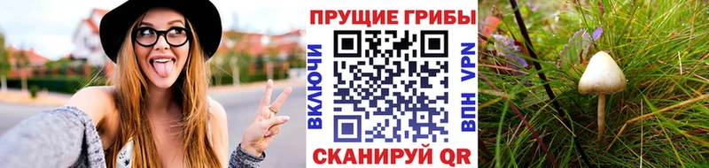 Псилоцибиновые грибы мицелий  где купить наркоту  Сибай 