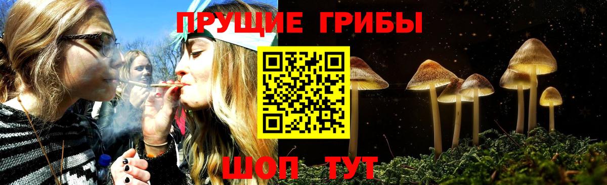 Псилоцибиновые грибы мицелий  Вход с VPN  Сибай 
