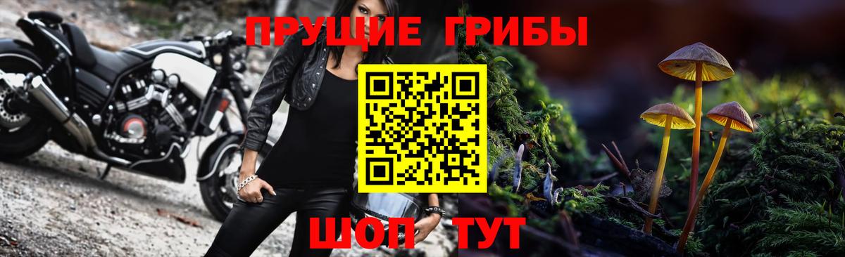Псилоцибиновые грибы Psilocybine cubensis Сибай